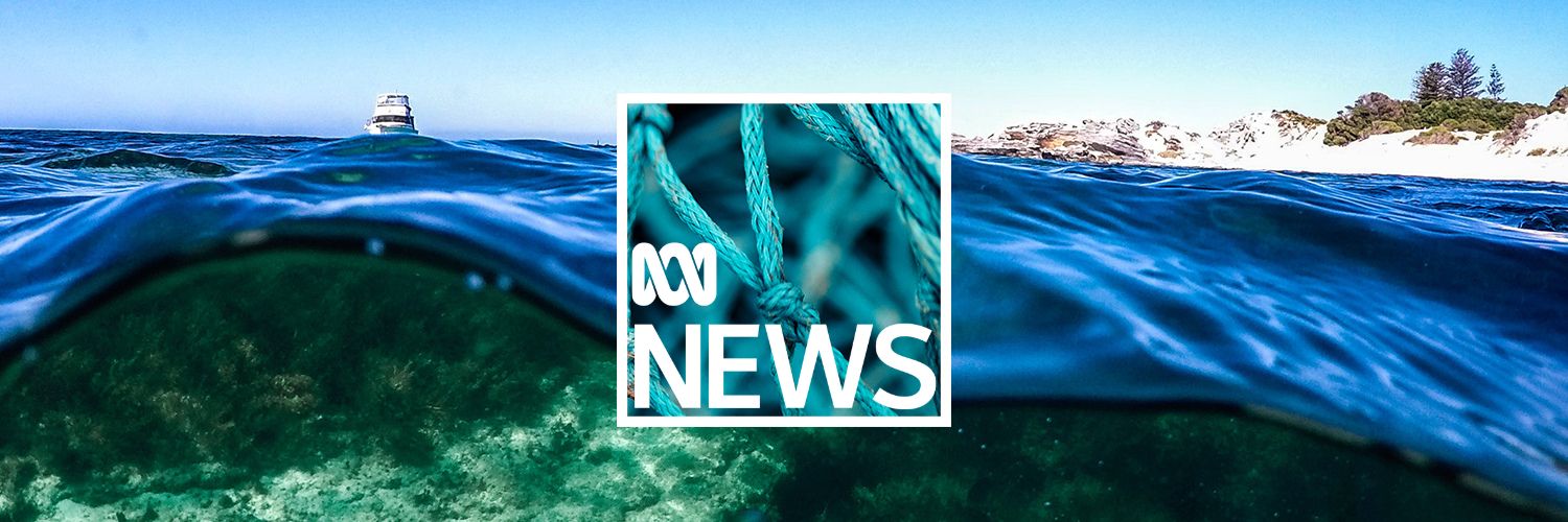 An image showing the surface of the ocean with the ABC logo floating above