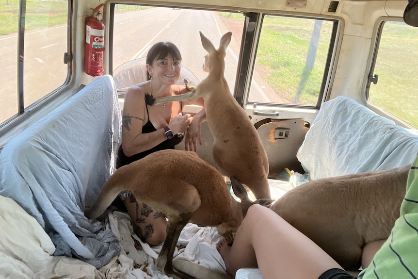 Mandy in vehicle with kangaroo in back 