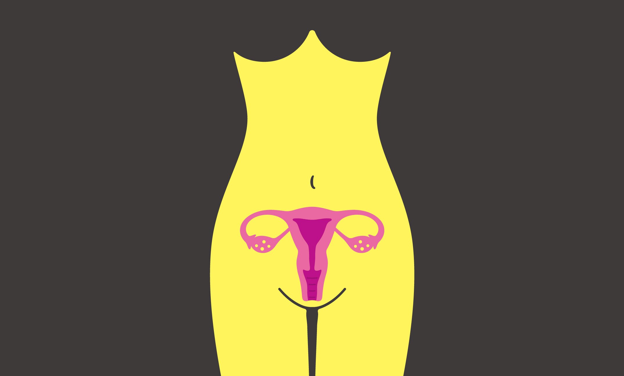 woman body and organ uterus, vector illustration