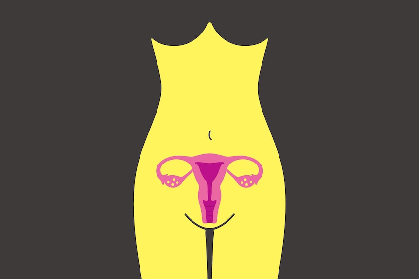 cuerpo de mujer y útero de órgano, ilustración vectorial