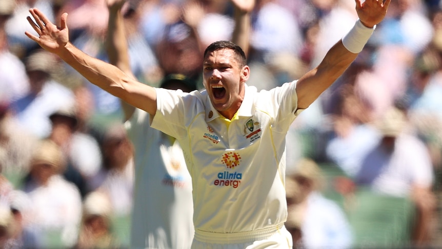 Scott Boland holds both arms aloft as he appeals for a wicket