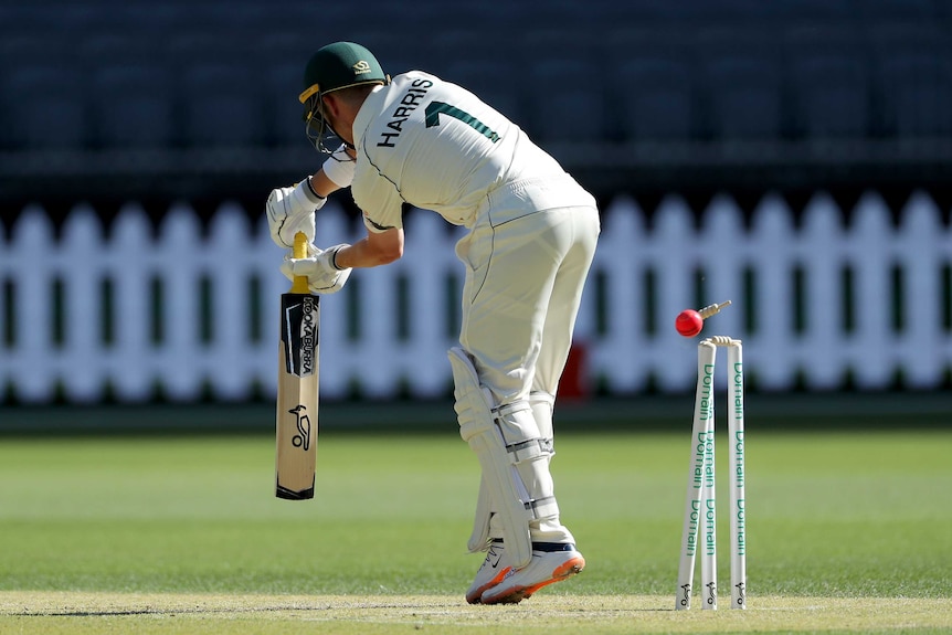 Marcus Harris plays a forward defensive as a pink cricket ball knocks the top of the off stump and sends the bail flying.