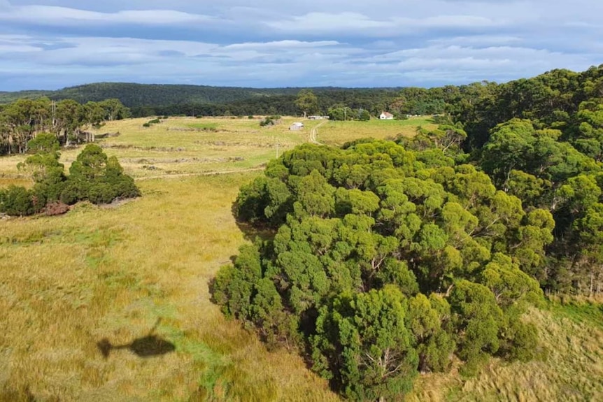  An aerial view of a rural landscape with trees and paddock