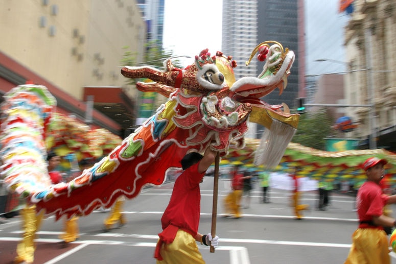 A man dances with a Dragon puppet during Sydney Chinese New Year celebrations