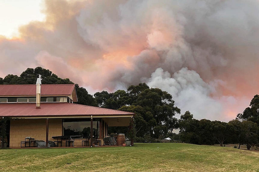 Smoke behind a row of trees and a house.