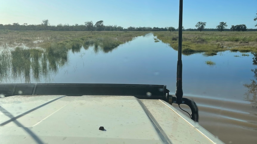 A view of a waterlogged field with a 4WD driving through.
