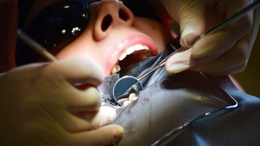 A child has their teeth examined by a dentist.