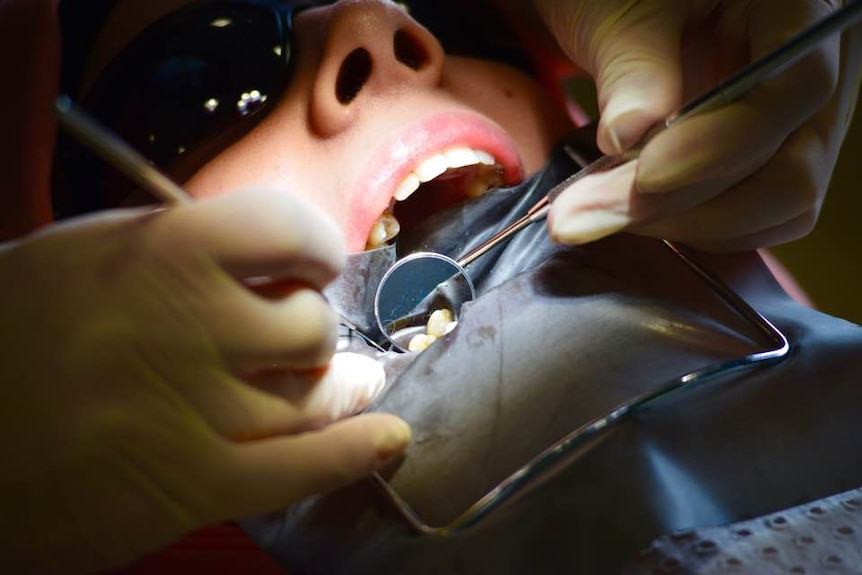 A child has their teeth examined by a dentist.