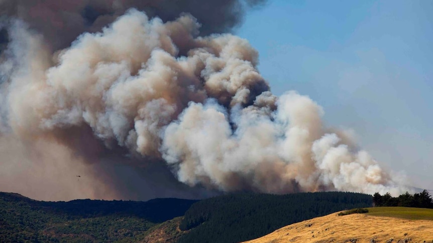 Smoke billows out of the raging bushfire in Christchurch.