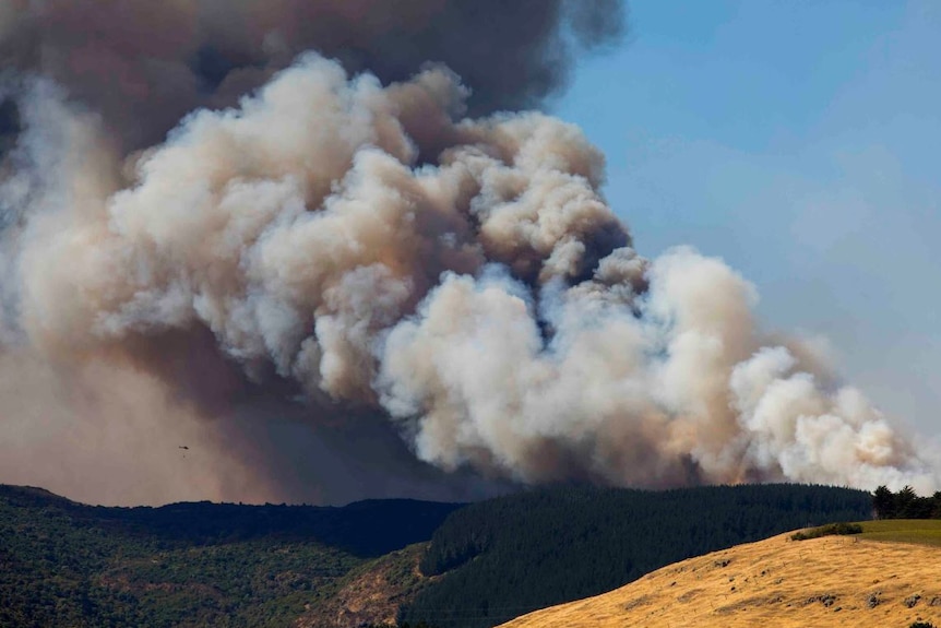 Smoke billows out of the raging bushfire in Christchurch.