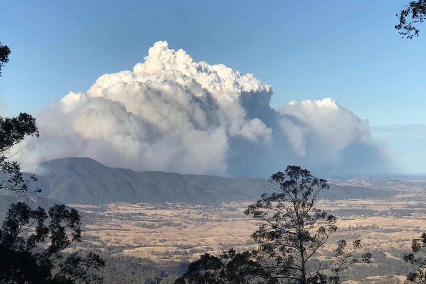 Smoke plumes over hills in the Bega Valley.