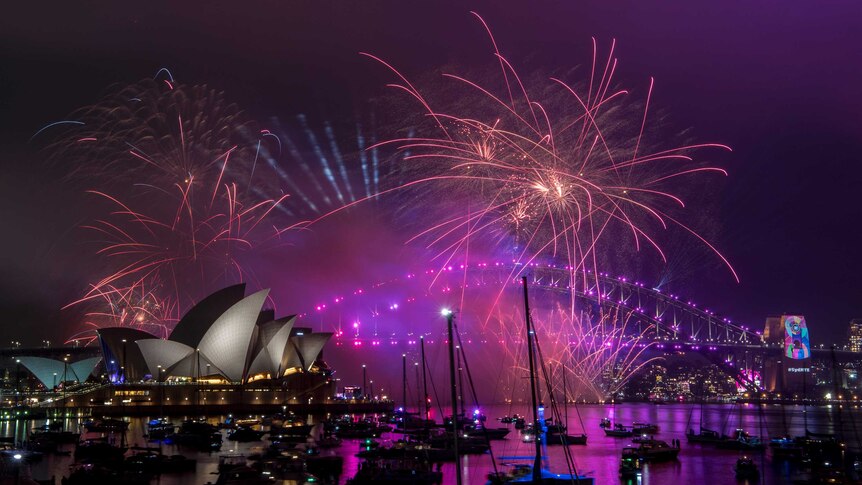 Bright puples and golds illuminate the sky over Sydney Harbour as fireworks shoot into the air.