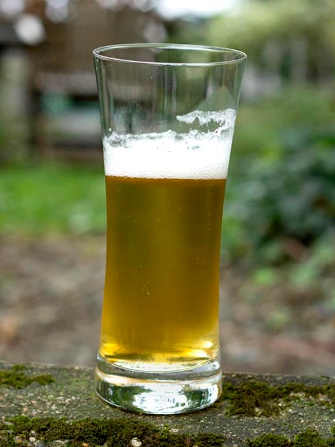 Glass of beer