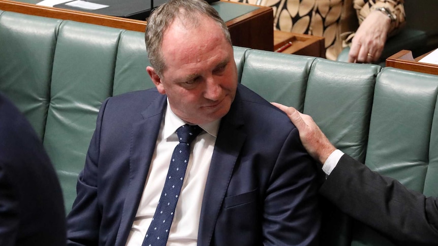 Barnaby Joyce in Question Time in the House of Representatives.