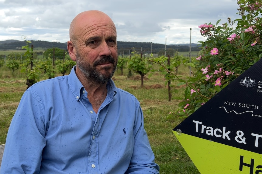 A middle-aged man with a shaved head and a dark beard sitting in front of a vineyard on an overcast day.