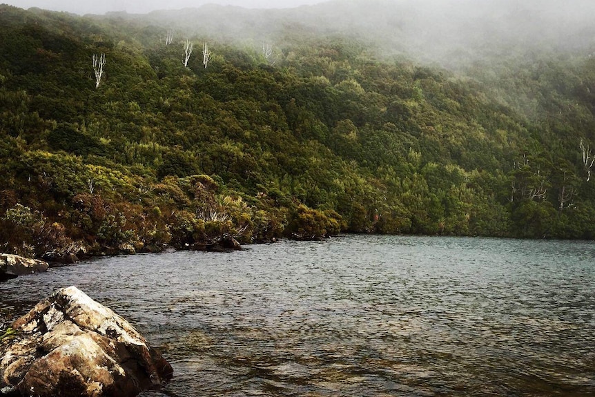 Picture of a misty lake