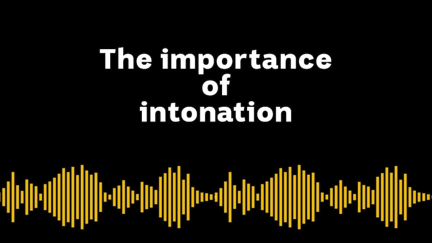 The importance of intonation thumbnail