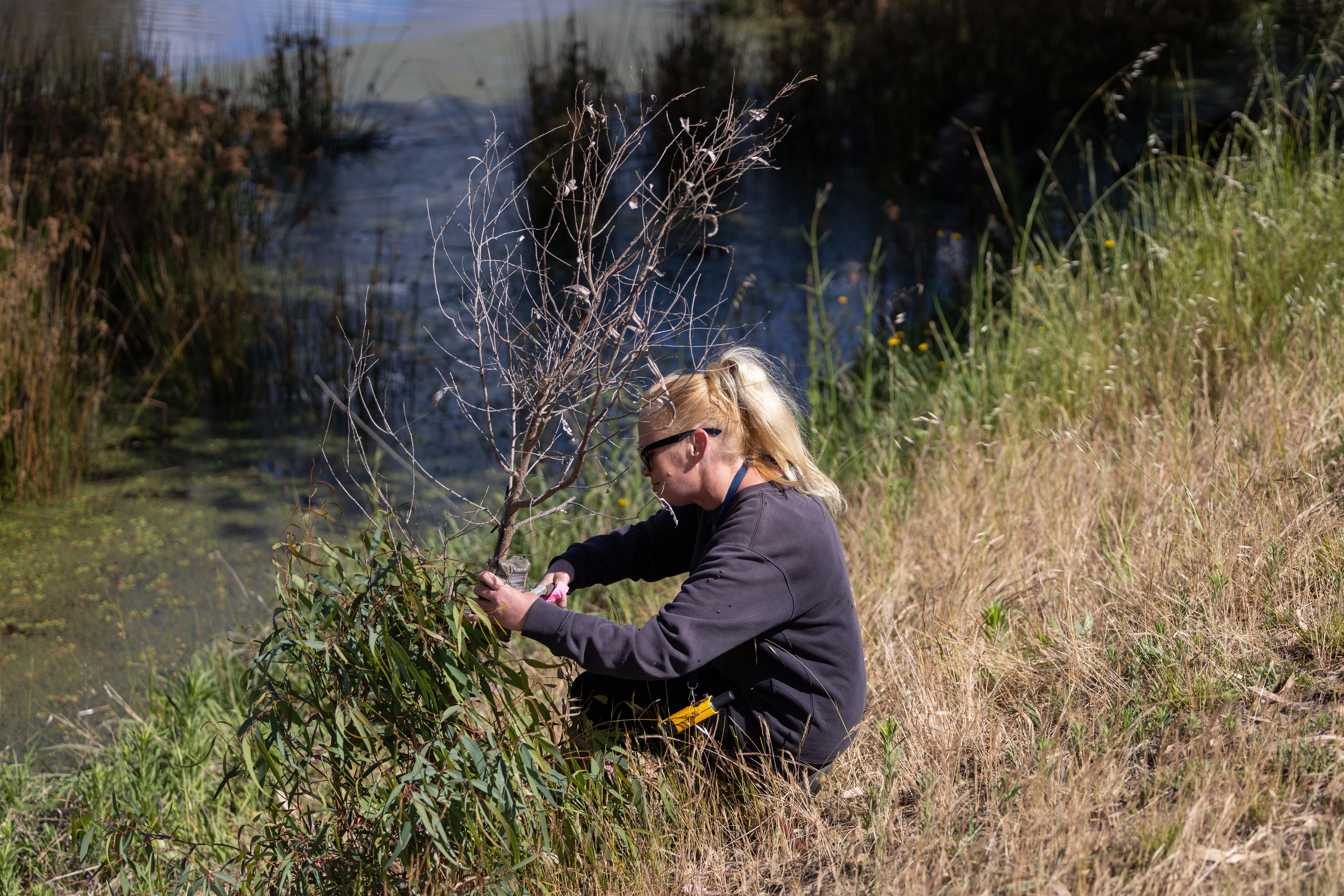 Una mujer de cabello rubio instala una cámara de seguimiento junto a una laguna