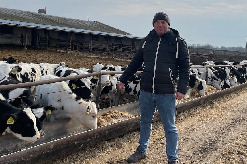 a man in a beanie stands in front of his dairy cattle, who eat from a trough 