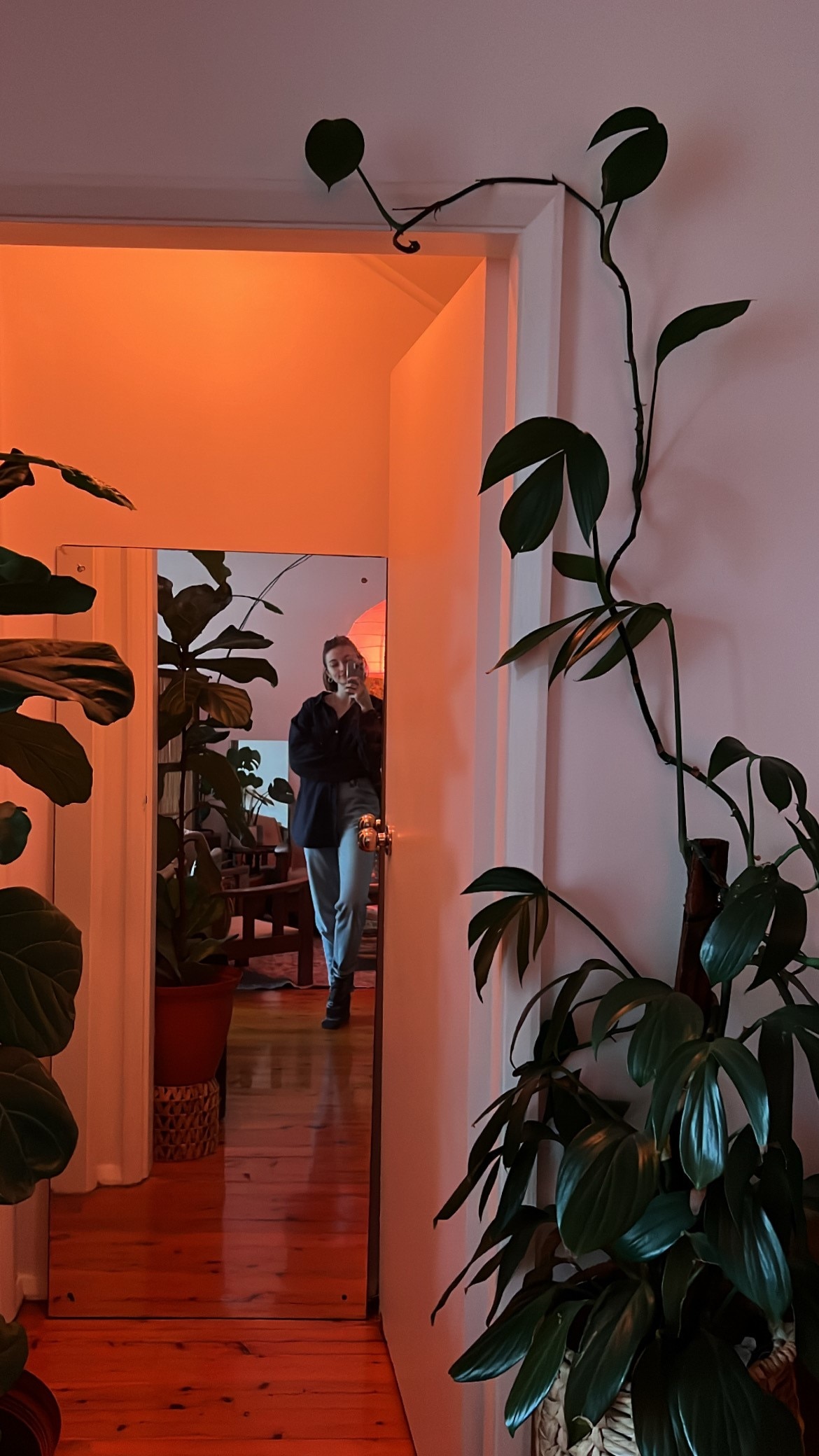 Rose in her Sydney apartment