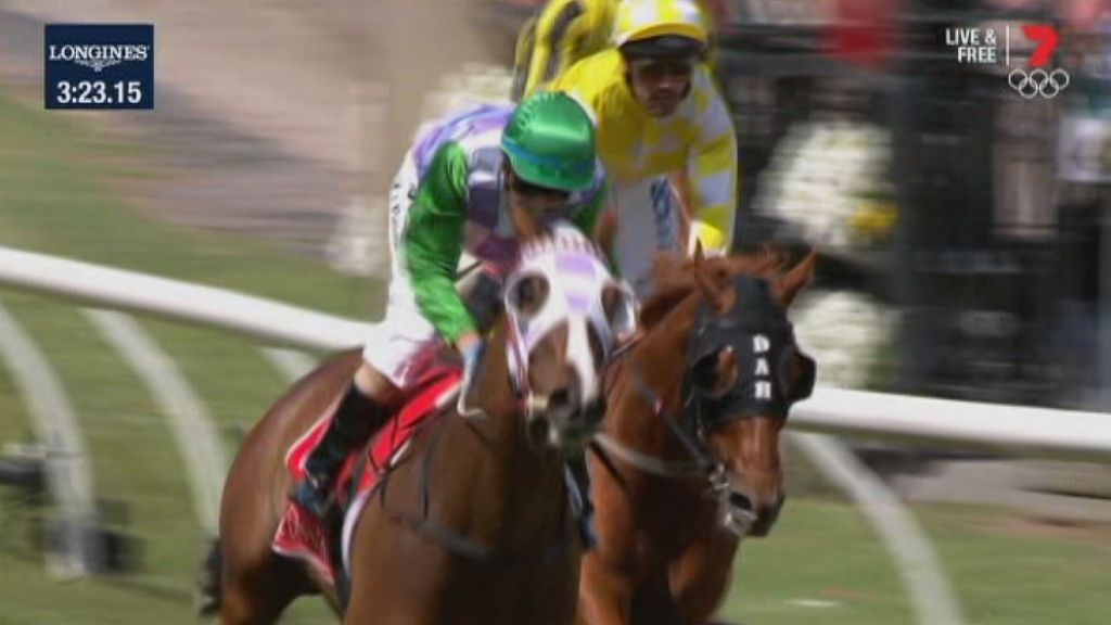 Melbourne Cup: Michelle Payne rises from nasty falls to pinnacle of ...