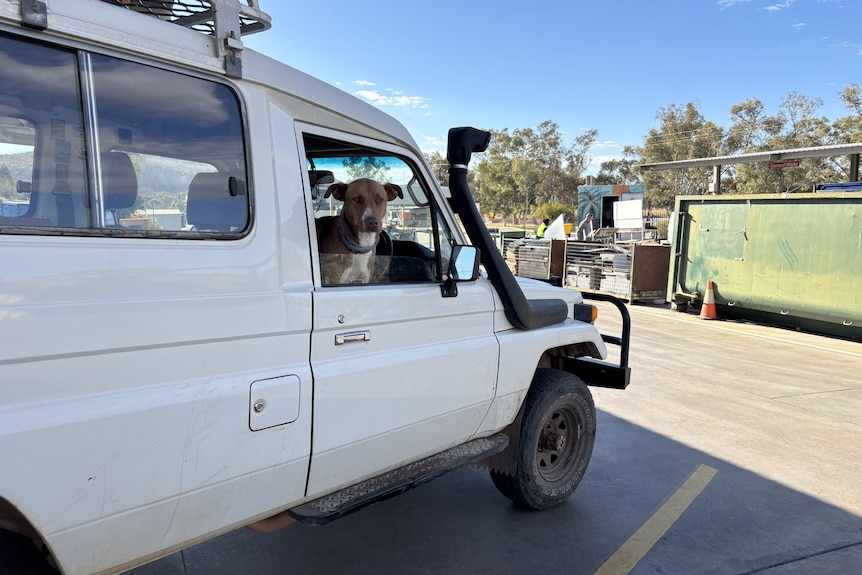 How you can recycle in Alice Springs without kerbside collection ABC News How you can recycle in Alice Springs without kerbside collection ABC News