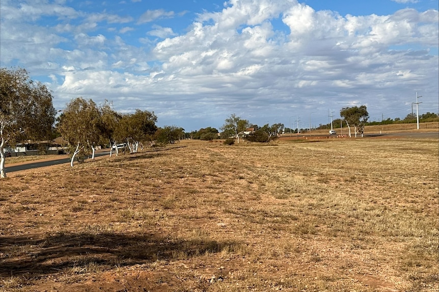 A stretch of dead grass between two roads lined with gum trees.