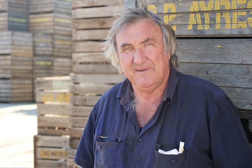 A portrait of Colin Ayres leaning against some wooden boxes.