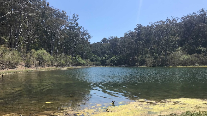 The waters of Lake Tyers, in Gippsland, Victoria.