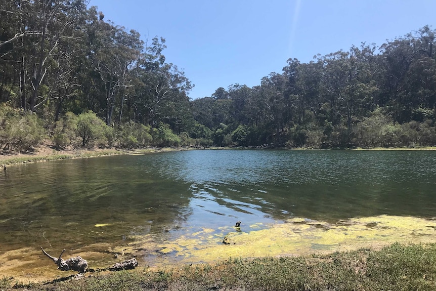 The waters of Lake Tyers, in Gippsland, Victoria.