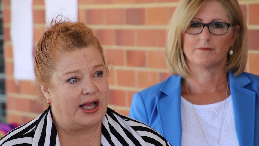 Education Minister Sue Ellery and Education Department director-general Sharyn O'Neill speaking at a media conference.
