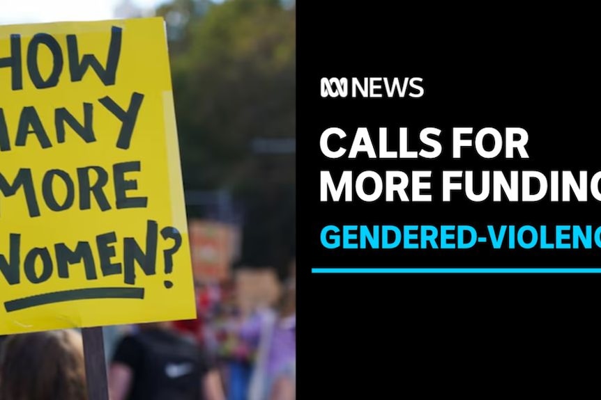 Calls for More Funding, Gendered Violence: A sign at a protest rally saying 'How Many More Women'?