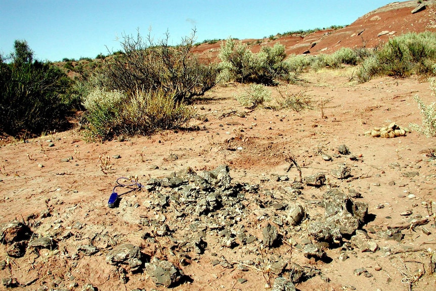 Titanosaur egg chunks