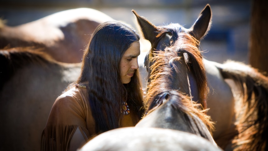 A man tending to his brown horse. Several other horses are visible in the background