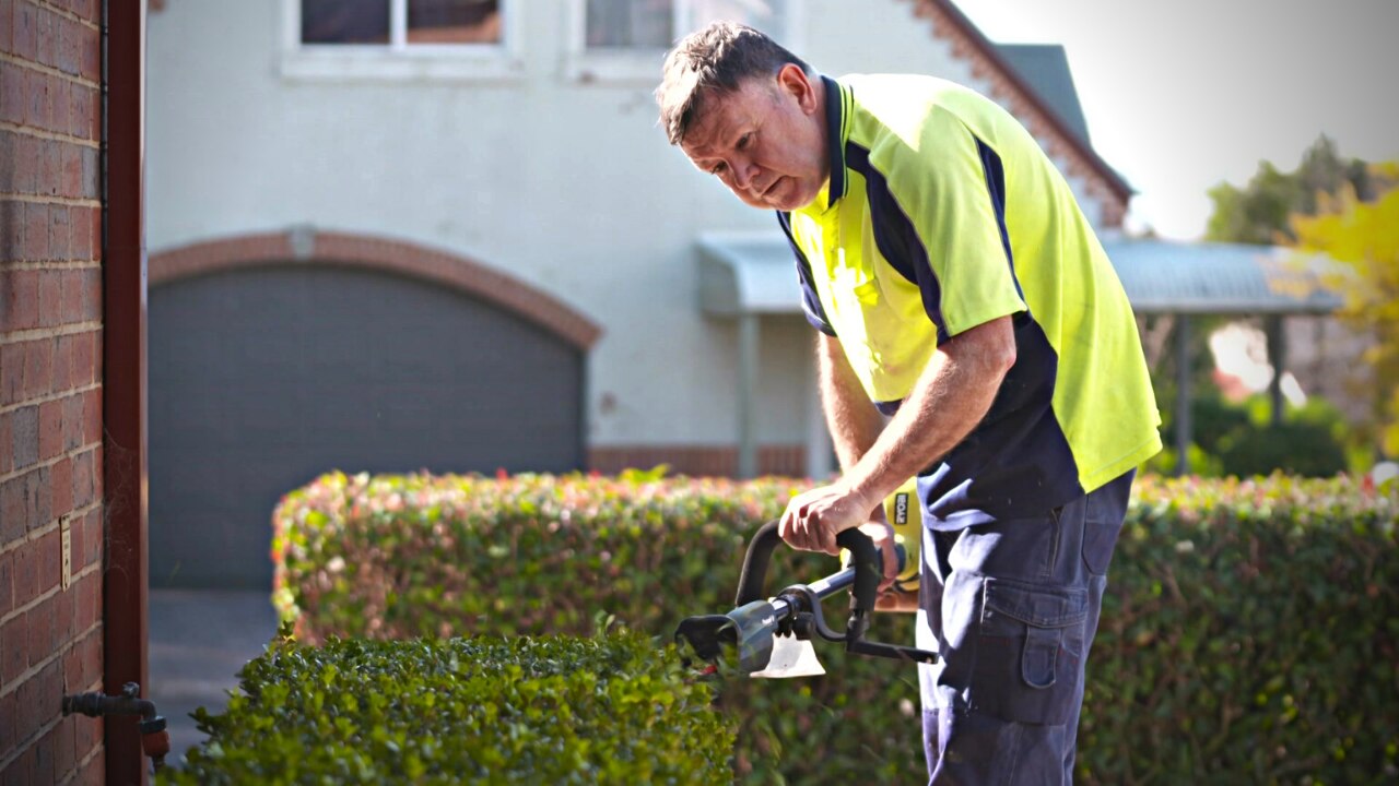 Man trimming a hedge.
