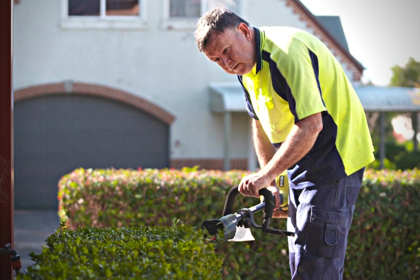 Man trimming a hedge.