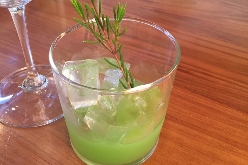 Green drink with ice cubes and a stalk of Geraldton wax.