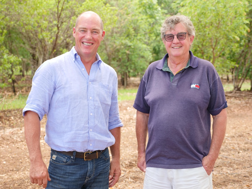 Two middle-aged white men standing in tree plantation