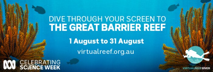 Virtual Reef Diver