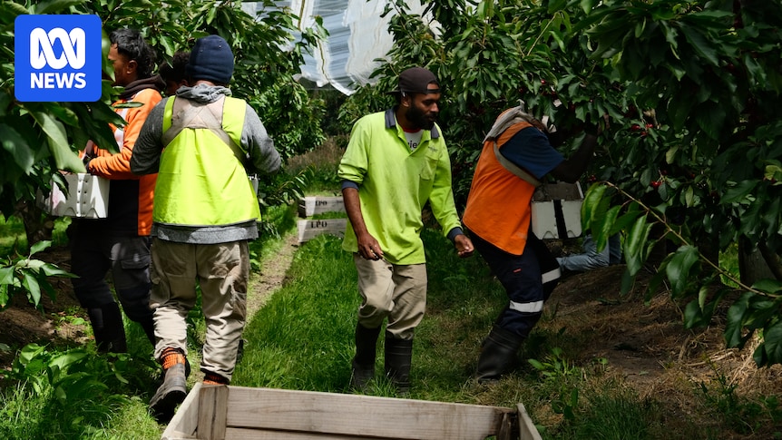Pacific Islander Workers in Australia: Success Stories and Exploitation Concerns in PALM Scheme