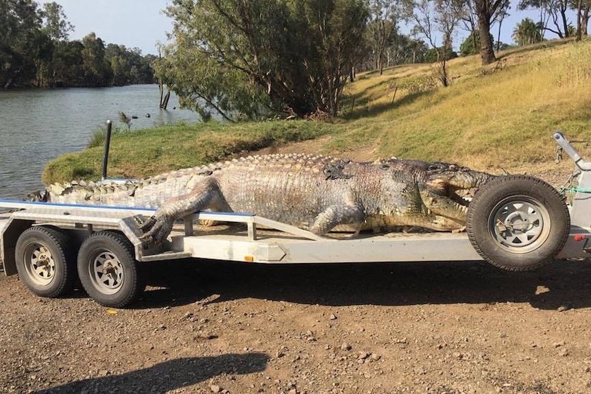 Police are investigating the shooting death of 'iconic' crocodile