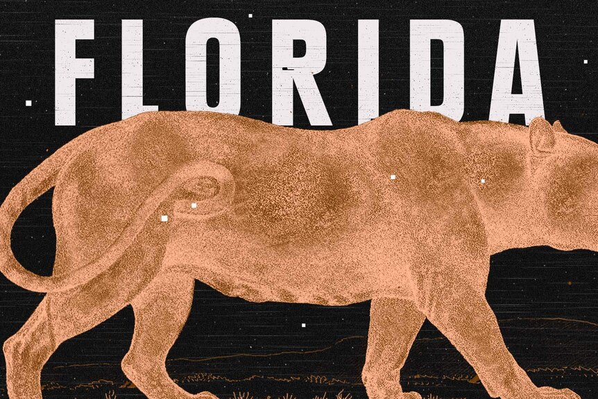 Lauren Groff's Florida cover