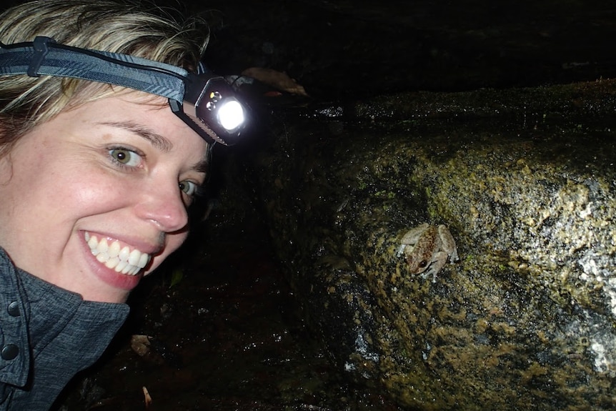 Woman with torchhead looking at frog on a rock.