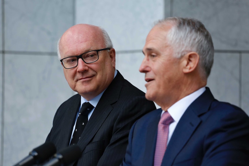 Brandis looks at Turnbull, November 29, 2016.