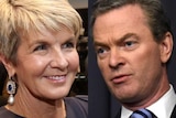 A composite of Christopher Pyne and Julie Bishop.