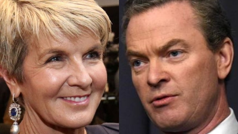 A composite of Christopher Pyne and Julie Bishop.