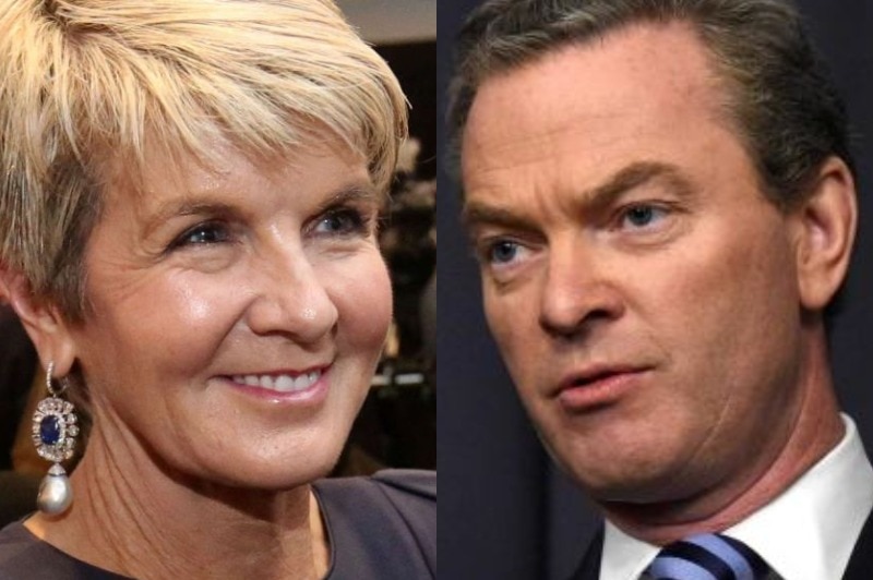 A composite image of Christopher Pyne and Julie Bishop.