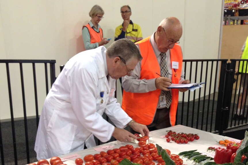 Judges examine the produce in the Fresh Food Dome