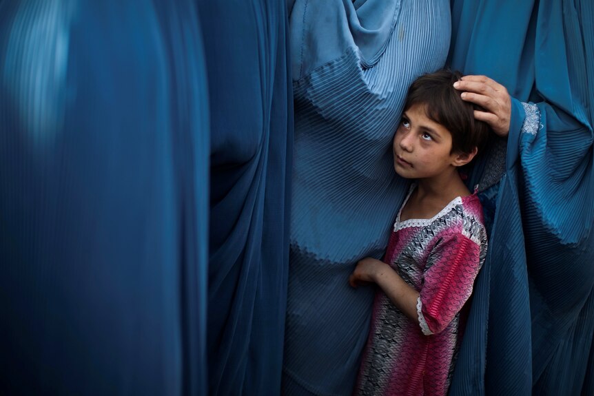 A small Afghan girl in a pink dress hides among the blue skirts of women's burkas in Afghanistan
