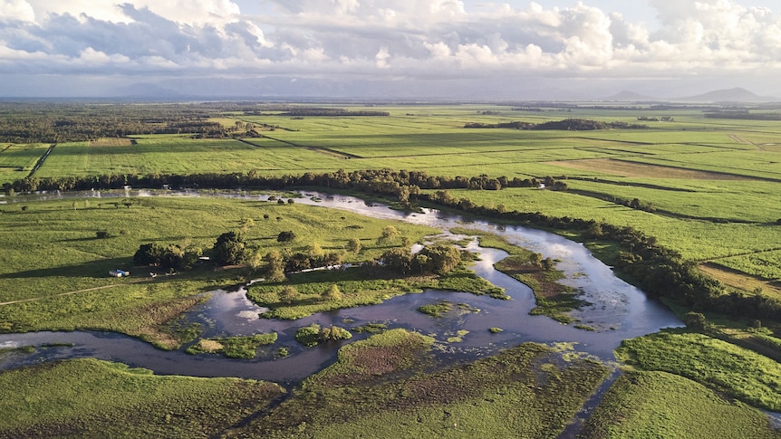 drone shot of wetlands, green grass and clouds in the background